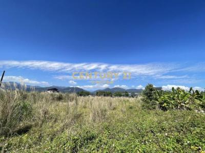 八王城段, Sanxing Township, Yilan City 266, Taiwan