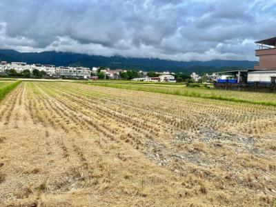 茭白段, Yilan City, Yilan City 260, Taiwan