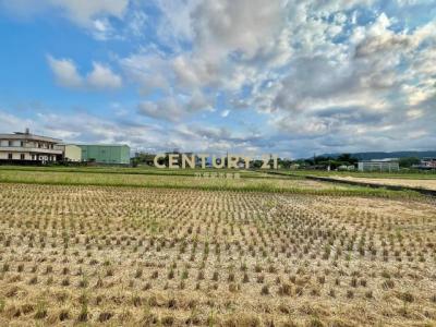 茭白段, Yilan, Yilan 260, Taiwan