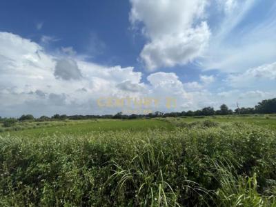 育仁段, 觀音區, تاويوان مدينة 328, تايوان