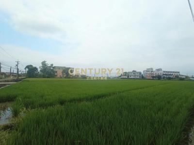 新洲子段, Yuanshan Township, Yilan City 264, Taiwan