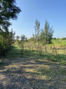 富林段, 觀音區, Taoyuan 328, Tajwan