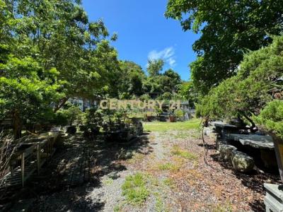 阿里史張公圍, Sanxing Township, Yilan City 266, Taiwan