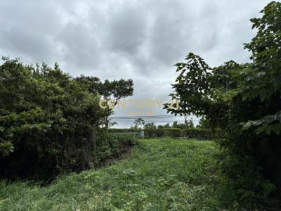 尖山段, 頭份市, Miaoli County 351, Taiwan