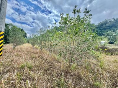 老社寮段, Guanxi Township, Hsinchu County 306, Taiwan