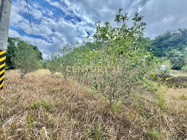 老社寮段, Guanxi Township, Hsinchu County 306, Taiwan