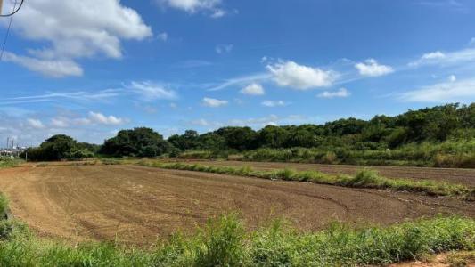 上嶺段, 中壢區, Taoyuan City 320, Taiwan