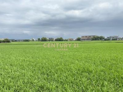 振興段, Yilan City, Yilan City 260, Taiwan