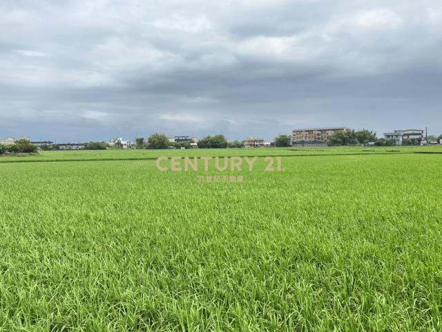 振興段, Yilan City, Yilan City 260, Taiwan