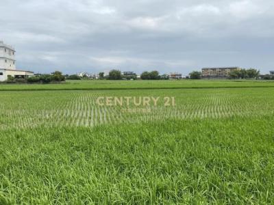 振興段, Yilan City, Yilan City 260, Taiwan