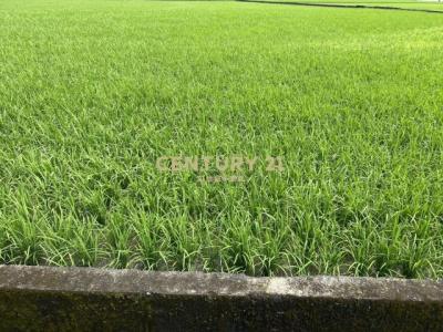 振興段, Yilan City, Yilan City 260, Taiwan