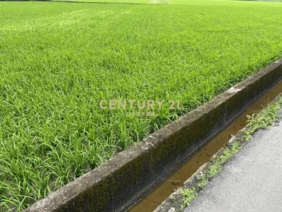 振興段, Yilan City, Yilan City 260, Taiwan