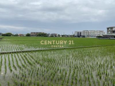振興段, Yilan City, Yilan City 260, Taiwan