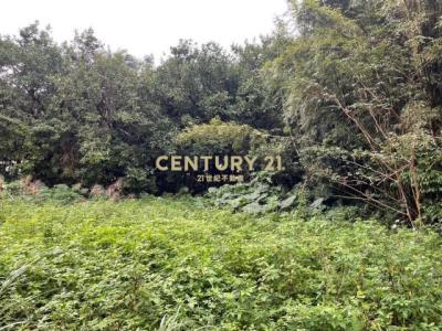 拔雅林三段, Toucheng Township, Yilan 261, Tajwan