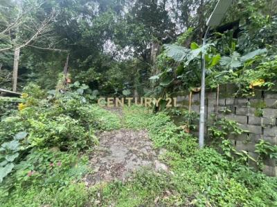 信義區犁和段一小段, Xinyi Dist., Đài Bắc 110, Đài Loan