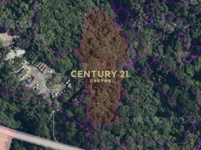 信義區犁和段一小段, Xinyi Dist., Đài Bắc 110, Đài Loan