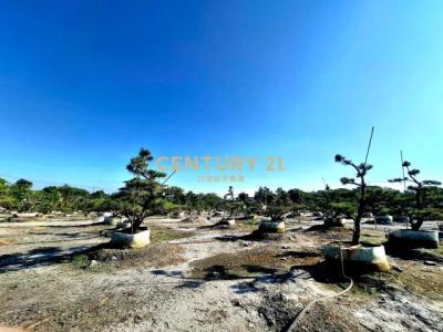 七星段, Beidou Township, Changhua County 521, 대만