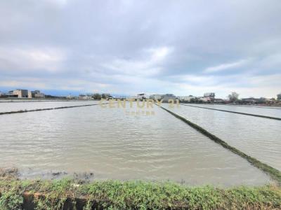 中興段, Zhuangwei Township, Yilan 263, Tajwan