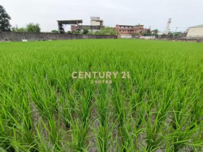 隘城段, Su'ao Township, Yilan 270, Taïwan