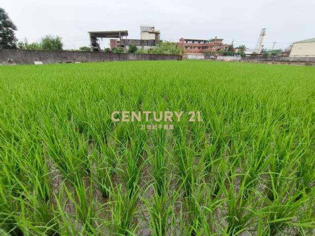 隘城段, Su'ao Township, Yilan 270, Taiwán