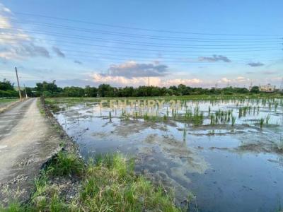 義成八段, Dongshan Township, Yilan 269, Taiwan