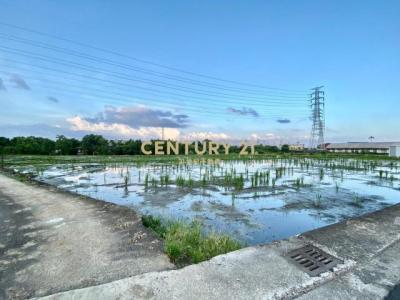 義成八段, Dongshan Township, Yilan 269, Taiwan