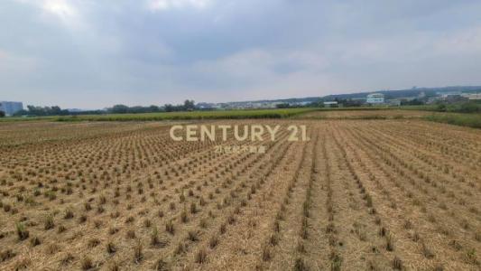 春社段, Nantun Dist., Taichung City 408, Taiwan