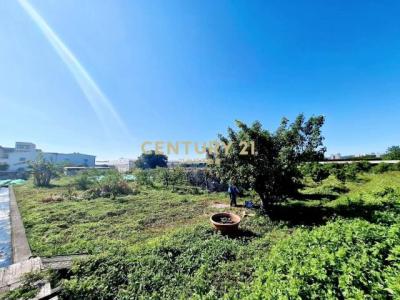 鎮安段, Nantun Dist., Taichung City 408, Taiwan