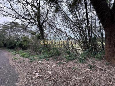 湖新段, Hukou Township, Hsinchu County 303, Taiwan