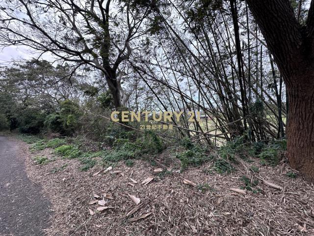 湖新段, Hukou עיירה, מחוז Hsinchu 303, טיוואן