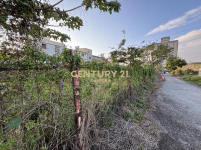 黃龍段, 龍潭區, Taoyuan City 325, Taiwan