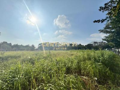 新林段, Linkou Dist., Nueva Taipei 244, Taiwan