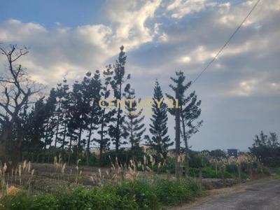 新福成段, Toucheng עיירה, Yilan עיר 261, טיוואן 