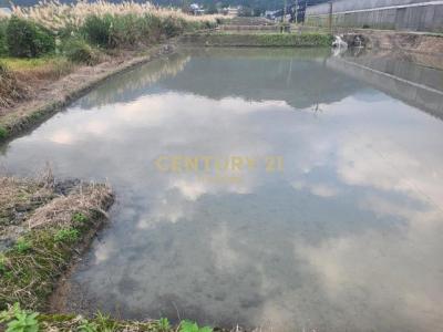 新福成段, Toucheng עיירה, Yilan עיר 261, טיוואן 