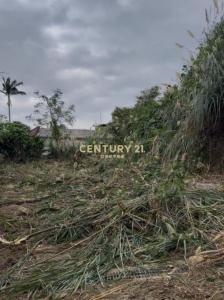溪南段, Sanxia Dist., Nueva Taipei 237, Taiwan