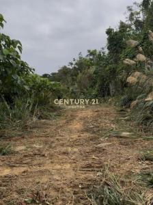 溪南段, Sanxia Dist., 新北市 237, 台灣