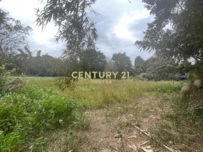 三坑段, 龍潭區, Đào Viên 325, Đài Loan