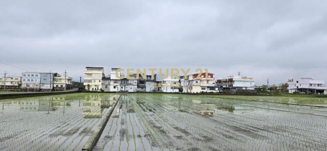 新群二段, 羅東鎮, 宜蘭市 265, 台灣