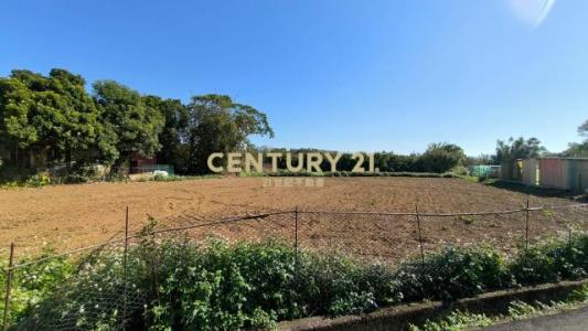 大安段, 八德區, Taoyuan 334, Taiwan