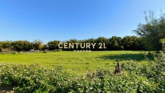 大安段, 八德區, Taoyuan 334, Taiwan