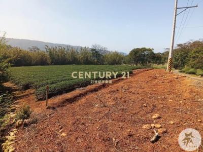 北坑段, 龍潭區, Taoyuan City 325, Taiwan