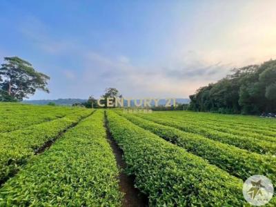 北坑段, 龍潭區, Taoyuan 325, Taiwán