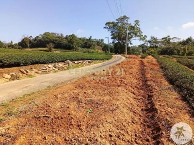 北坑段, 龍潭區, Taoyuan 325, Taiwán