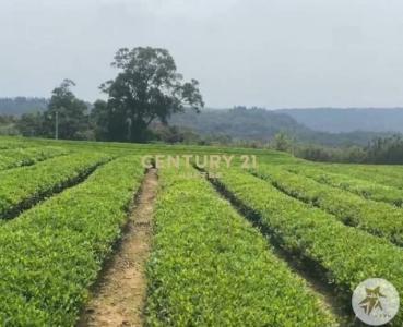 北坑段, 龍潭區, Taoyuan 325, Taiwán