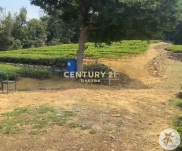 北坑段, 龍潭區, Taoyuan 325, Taiwán