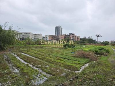 拔雅林三段, Toucheng Township, Yilan 261, Tayvan