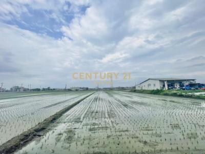 凱旋一段, Yilan, Yilan 260, Tayvan