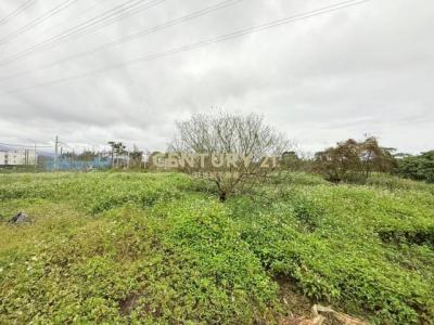 大三鬮段, Yuanshan Township, Yilan 264, Taïwan