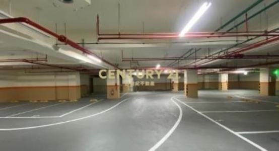 文化三路二段, Linkou Dist., New Taipei City 244, Taiwan