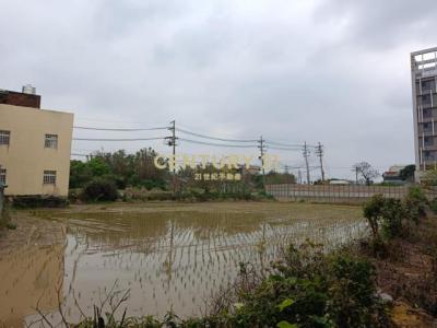 溪洲段, 大園區, Taoyuan 337, Tajwan